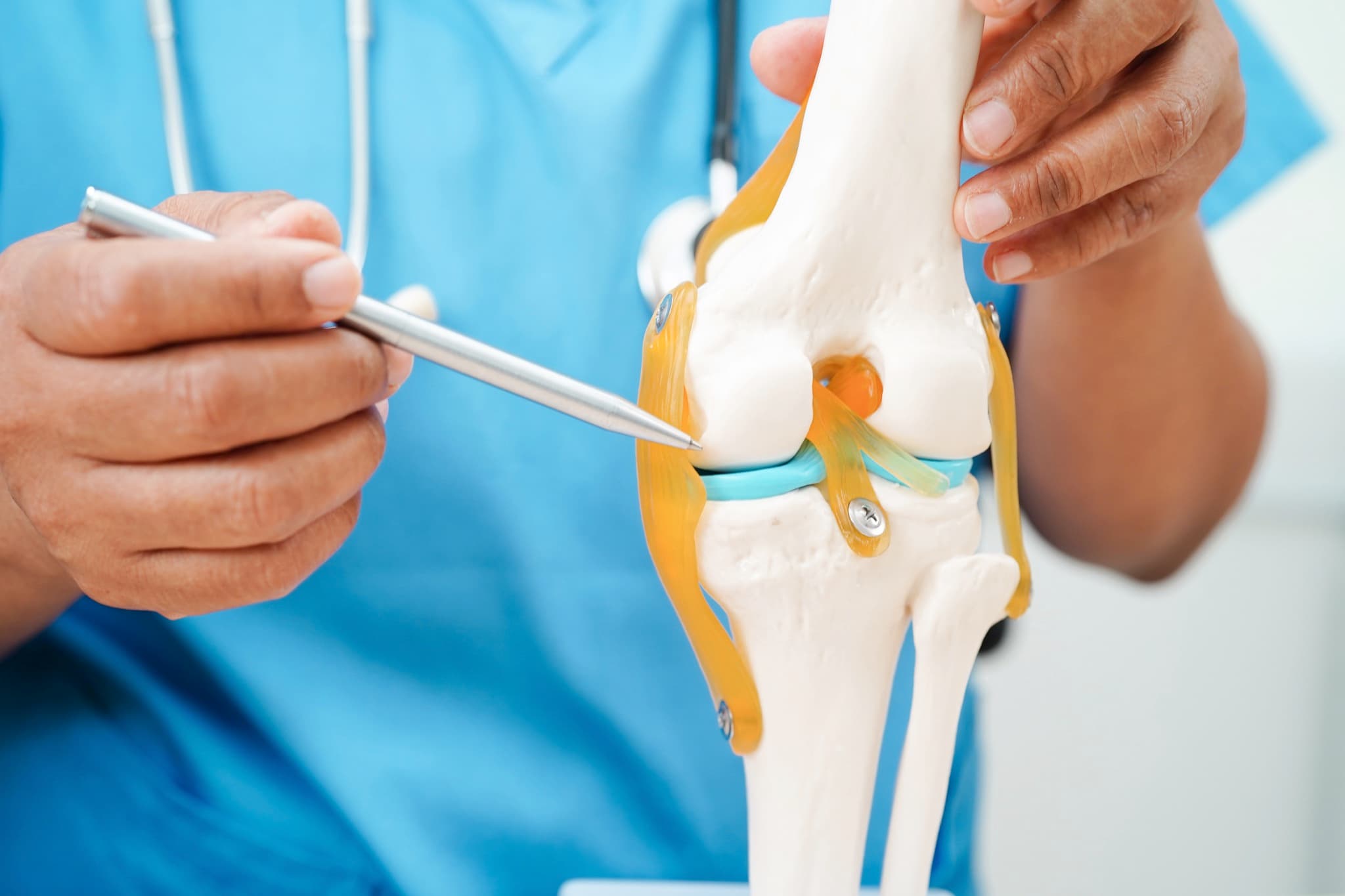 ChondroFiller and cartilage regeneration, Professor Paul Lee