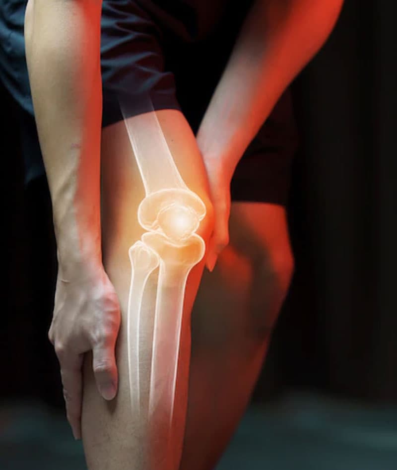 Cartilage and joint preservation, Professor Paul Lee